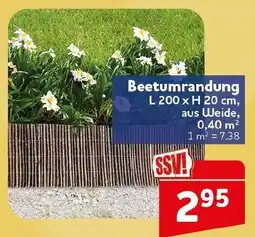 CENTERSHOP Beetumrandung Angebot