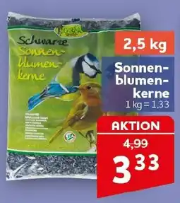 CENTERSHOP Schwarze Sonnenblumenkerne Angebot
