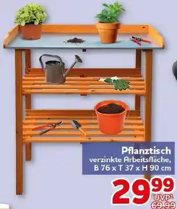 CENTERSHOP Pflanztisch Angebot