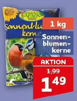CENTERSHOP Sonnenblumenkerne Angebot