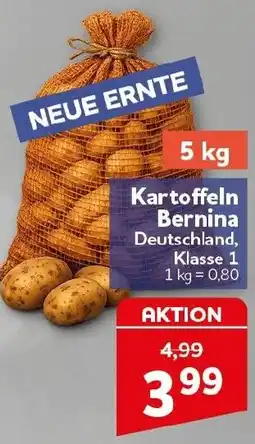 CENTERSHOP Kartoffeln Bernina Angebot