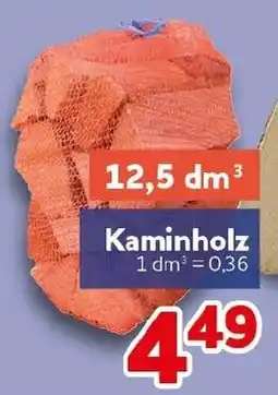 CENTERSHOP Kaminholz Angebot