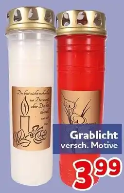 CENTERSHOP Grablicht versch. Motive Angebot