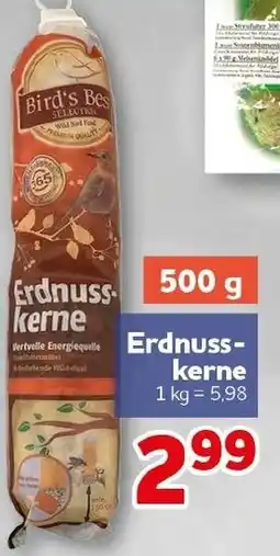 CENTERSHOP Bird's Best Erdnusskerne Angebot