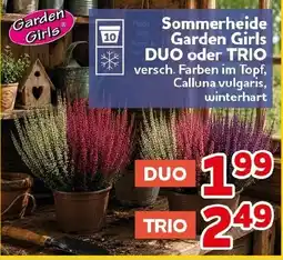 CENTERSHOP Sommerheide Garden Girls Angebot