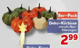CENTERSHOP Deko-Kürbisse Angebot