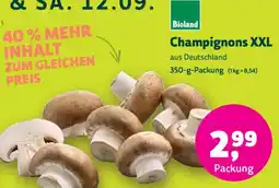 Denns BioMarkt Bioland Champignons XXL Angebot