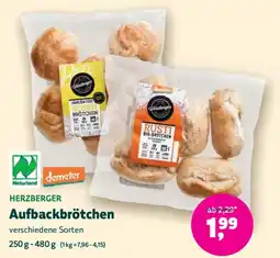 Denns BioMarkt HERZBERGER Aufbackbrötchen Angebot