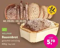 Denns BioMarkt WELLPANE Bauernbrot Angebot