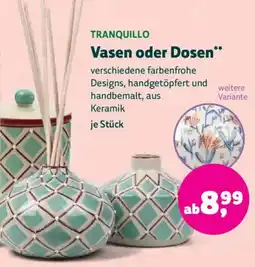 Denns BioMarkt TRANQUILLO Vasen oder Dosen Angebot