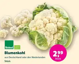 Denns BioMarkt Bioland Blumenkohl Angebot
