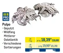 METRO PRO TRACE Pulpo Angebot