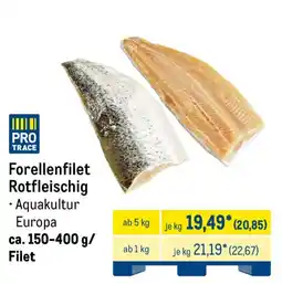 METRO PRO TRACE Forellenfilet Rotfleischig Angebot