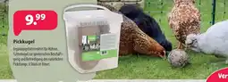 Kiebitzmarkt Pickkgel Angebot