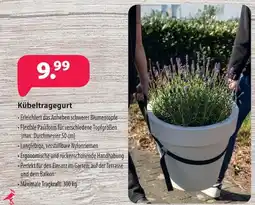 Kiebitzmarkt Kübeltragegurt Angebot