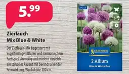 Kiebitzmarkt KIEPENKERL Zierlauch Mix Blue & White Angebot
