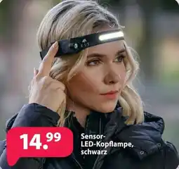 Kiebitzmarkt ELT Sensor-LED-Kopflampe, schwarz Angebot