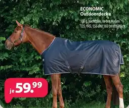 Kiebitzmarkt ECONOMIC Outdoordecke Angebot