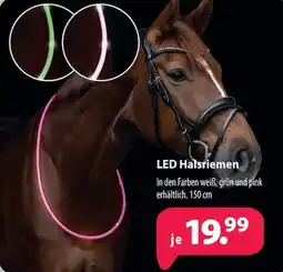 Kiebitzmarkt LED Halsriemen Angebot