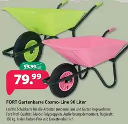 Kiebitzmarkt FORT Gartenkarre Cosmo-Line Angebot