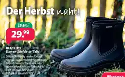 Kiebitzmarkt BLACKFOX Damen-Stiefelette 'Talia' Angebot