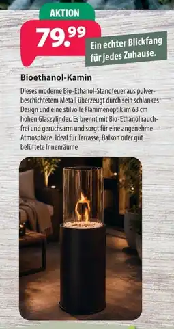 Kiebitzmarkt Bioethanol-Kamin Angebot