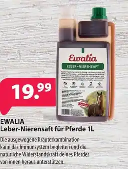 Kiebitzmarkt Ewalia Leber-Nierensaft für Pferde Angebot
