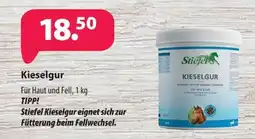 Kiebitzmarkt Stiefel Kieselgur Angebot