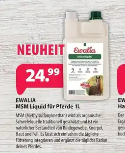 Kiebitzmarkt Ewalia MSM Liquid für Pferde Angebot