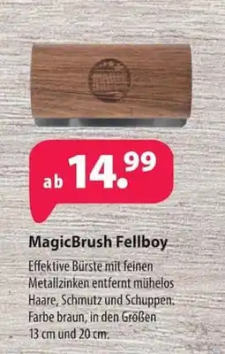 Kiebitzmarkt MagicBrush Fellboy Angebot