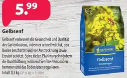Kiebitzmarkt KIEPENKERL Gelbsenf Angebot