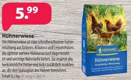 Kiebitzmarkt KIEPENKERL Hühnerwiese Angebot