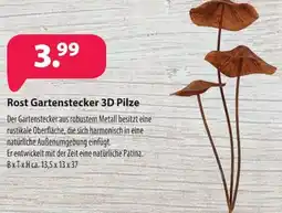 Kiebitzmarkt Rost Gartenstecker 3D Pilze Angebot