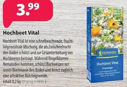 Kiebitzmarkt KIEPENKERL Hochbeet Vital Angebot