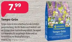 Kiebitzmarkt KIEPENKERL Tempo-Grün Angebot