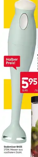 Rusta Stabmixer BH25 Angebot