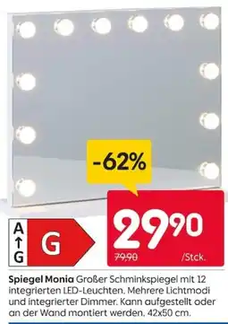 Rusta Spiegel Monia Angebot