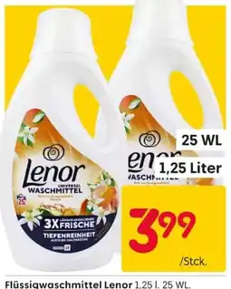 Rusta Flüssigwaschmittel Lenor Angebot