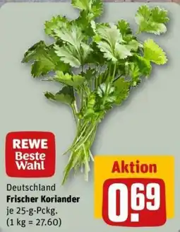 REWE REWE Beste Wahl Frischer Koriander Angebot