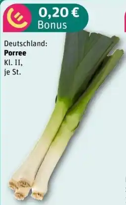 REWE Porree Angebot