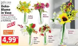 Norma bella casa Deko-Blume in Vase Angebot