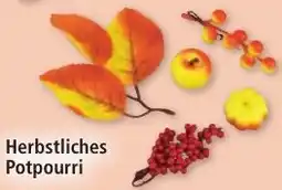 Norma Herbstliches Potpourri Angebot