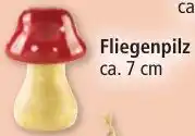Norma Fliegenpilz Angebot