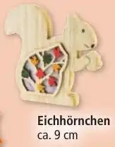 Norma Eichhörnchen Angebot