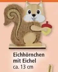 Norma Eichhörnchen mit Eichel Angebot