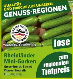 Norma Rheinländer Mini-Gurken Angebot