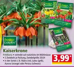 Norma Finest Garden Kaiserkrone Angebot