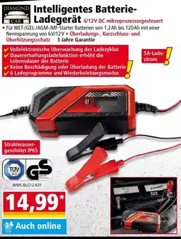 Norma Diamond Car Intelligentes Batterie-Ladegerät Angebot