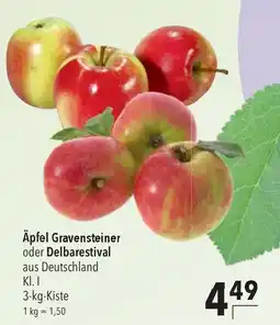 CITTI Markt Äpfel Gravensteiner oder Delbarestival Angebot