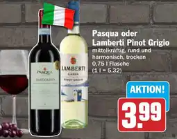 AEZ Pasqua oder Lamberti Pinot Grigio Angebot